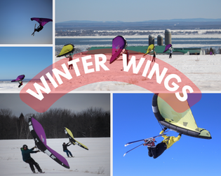  Winter wings - Our favourite ones